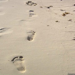 step