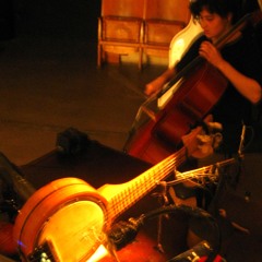 anthea caddy (cello) & michael northam (motorized ukulele)