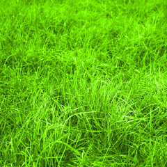 z-vector & Jonix - Trava