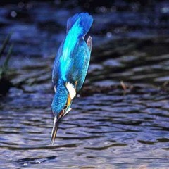 Delphic vs Neon Highwire: Halcyon (Neon Re-wire)