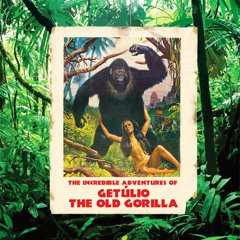 Beware Of The Gorilla