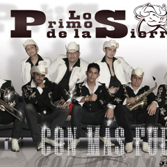 Tekila_Los primos live