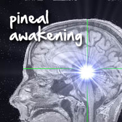 Pineal Awakening