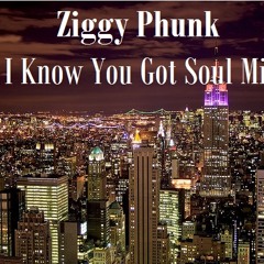 Ziggy Phunk - I Know You Got Soul 2011