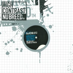 Dennis Sheperd & Cold Blue - Not Too Late (Nhato Remix)