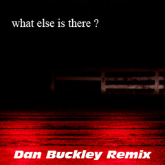 Royksopp - What Else Is There ? (Dan Buckley Remix)