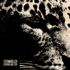 V.A. Steinmuller - Spring Leopard Mix 2011