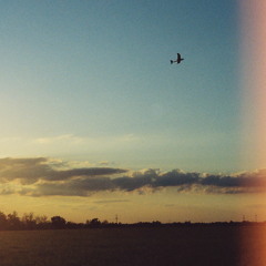 Train Song - Vashti Bunyan
