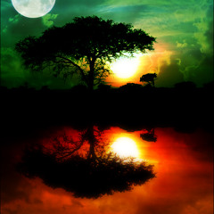 Africa Magica (by Pablo Cid)