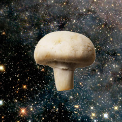 The Mushroom Stalker Pattern