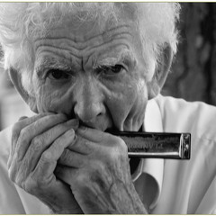 Mansour Pakzad - guitar & mouth organ