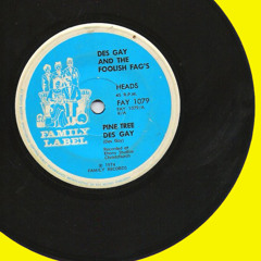 Pinetree Des Gay - Des Gay and the Foolish Fag's (1974)