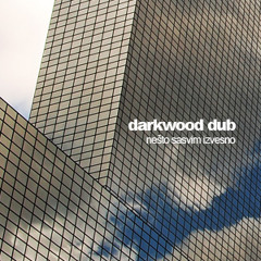 Darkwood Dub featuring Bisera Veletanlić: nešto sasvim izvesno Vanjus remix