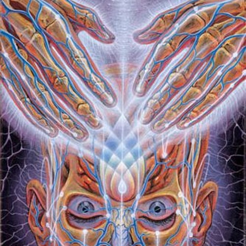 ISHTAR TERROR - Where The Wild Things Are (Feat. Davey Rickz)