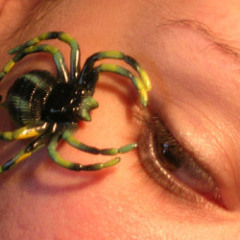 Daddy Kev: Itsy Bitsy Spider