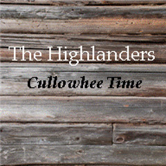 Victims Of Comfort feat Randall Bramblett