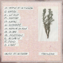 Trasvorder - Un café