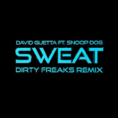 DAVID GUETTA FT. SNOOP DOG - Wet (Sweat) (Dirty Freaks bootleg)