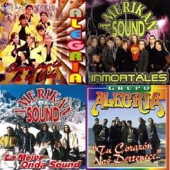 Alegria(Américo) y Amerika'n Sound(Cristián Farias) - Mi gato tiene amigdalitis