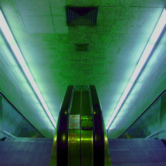 A Hint of Blue on White