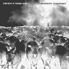 Mediengruppe Telekommander - Einer muss in Führung gehen (Lausiger Remix)