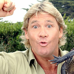 Crikey! (The Steve Irwin Song)