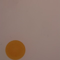 the midnight driving