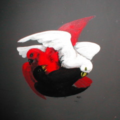 The Gray Field Recordings  - A Collie Bird Calling (Dream 1)