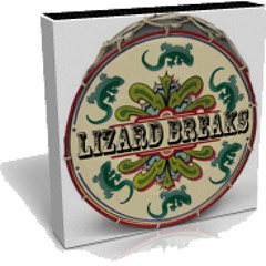Lizard Breaks Demo Track - New Beat Library Available from Samples-Now.com