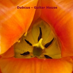 Dubcus - Guitar House