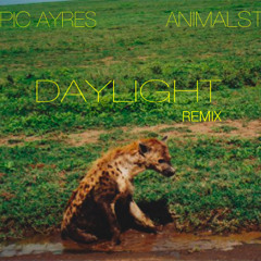 Olympic Ayres - Daylight (AnimalStatuS Remix)