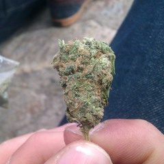 worst mix ever by nojba