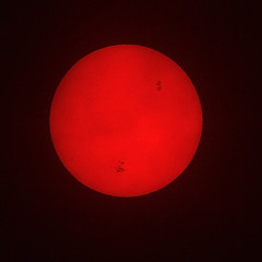 StapleMouth - Mourning By Morning