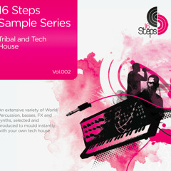16 Steps Sample Series Vol. 2 - Tribal & Tech House