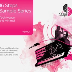 16 Steps Sample Series Vol.1 - Tech House & Minimal