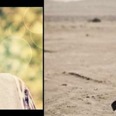 Jay Meel ft Mir Yusif