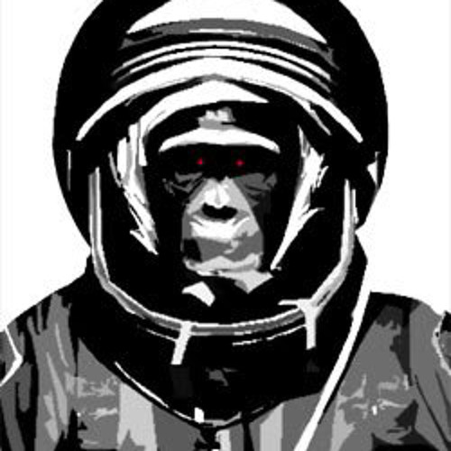 HS-oblykdfroke-Singes de l'espace