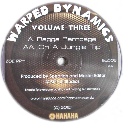 Warped Dynamics - On A Jungle Tip