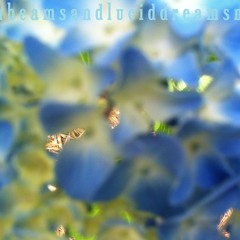 chelonian - sunbeamsandluciddreamsmix