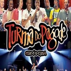 TURMA DO PAGODE-TEMA DO BRASILEIRAO 2011