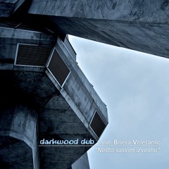 Darkwood Dub feat. Bisera Veletanlic - Nesto sasvim izvesno (umbo dub funk rmx) tape master