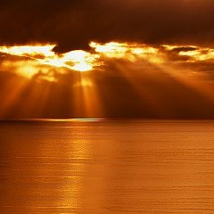 Ray Of Light [FREE DOWNLOAD]