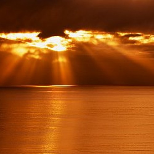 Ray Of Light [FREE DOWNLOAD]