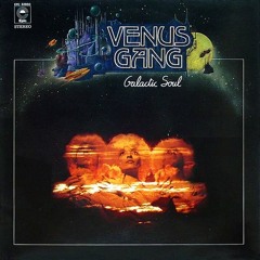 Venus Gang - Love To Fly (Bogstad Diskoensemble Edit)
