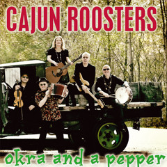 Cajun Roosters - Horse with no shoes