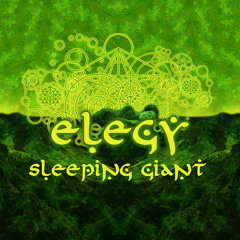 Elegy - Holy Mountainz