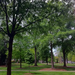 String Quartet in Modes- Phrygian