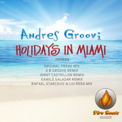 Andres Groovi - Holidays In Miami (2 B Groove Remix)