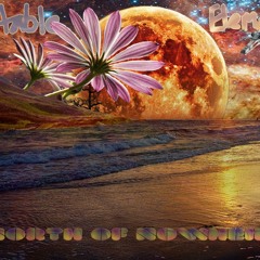 Fly Like Boombox (Suitable Element Dubstep Remix) (REVISED)