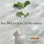 Artwork for "The Natural Step Story: Seeding a Quiet Revolution," by Karl-Henrik Robert